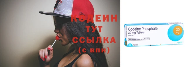 прущие грибы Магас