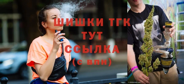 прущие грибы Алзамай