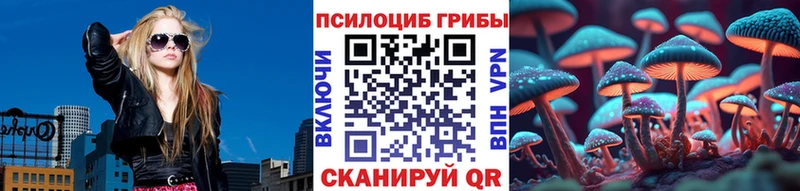 Псилоцибиновые грибы Psilocybe  Юрьев-Польский 